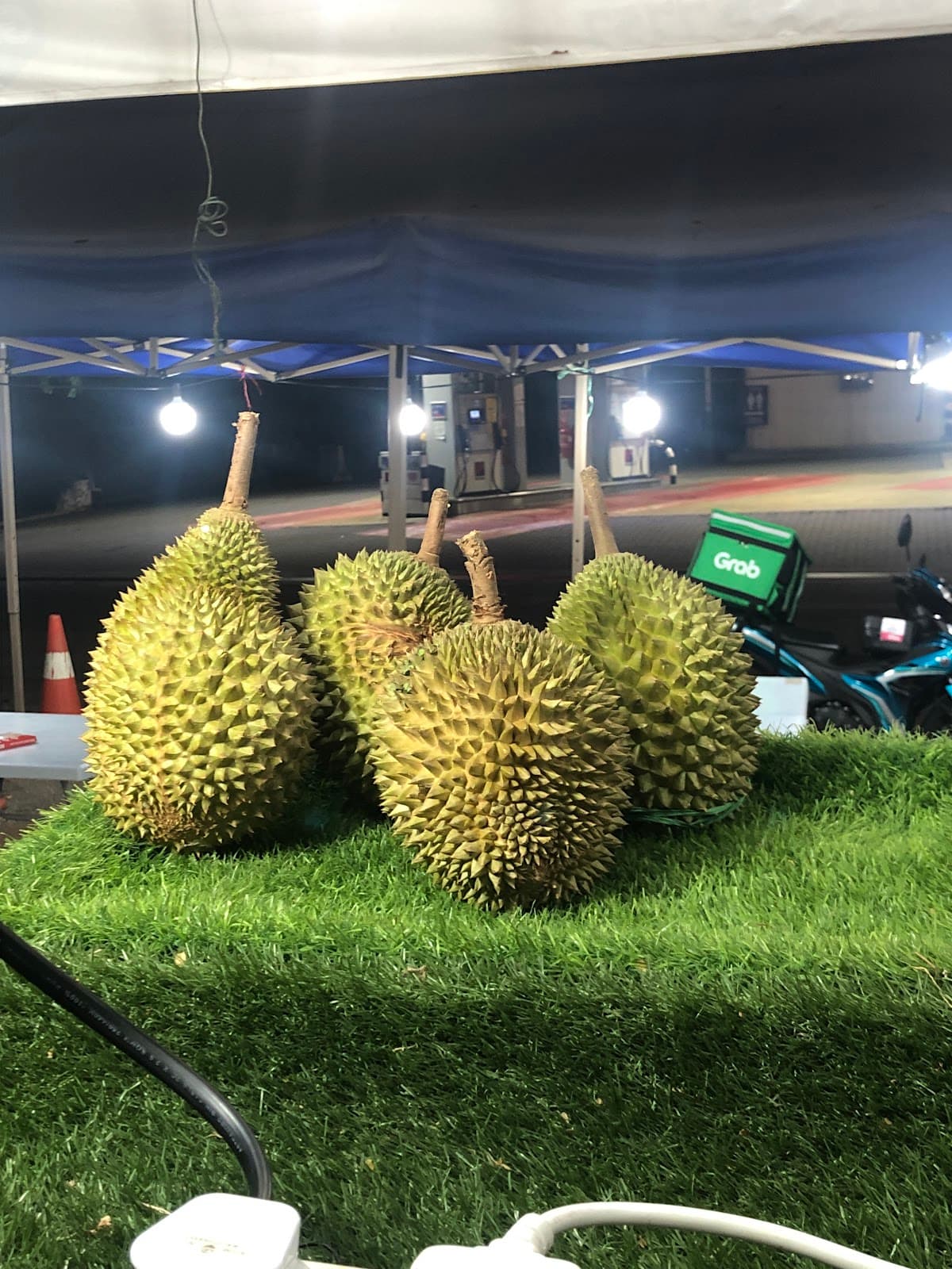 榴莲小王子