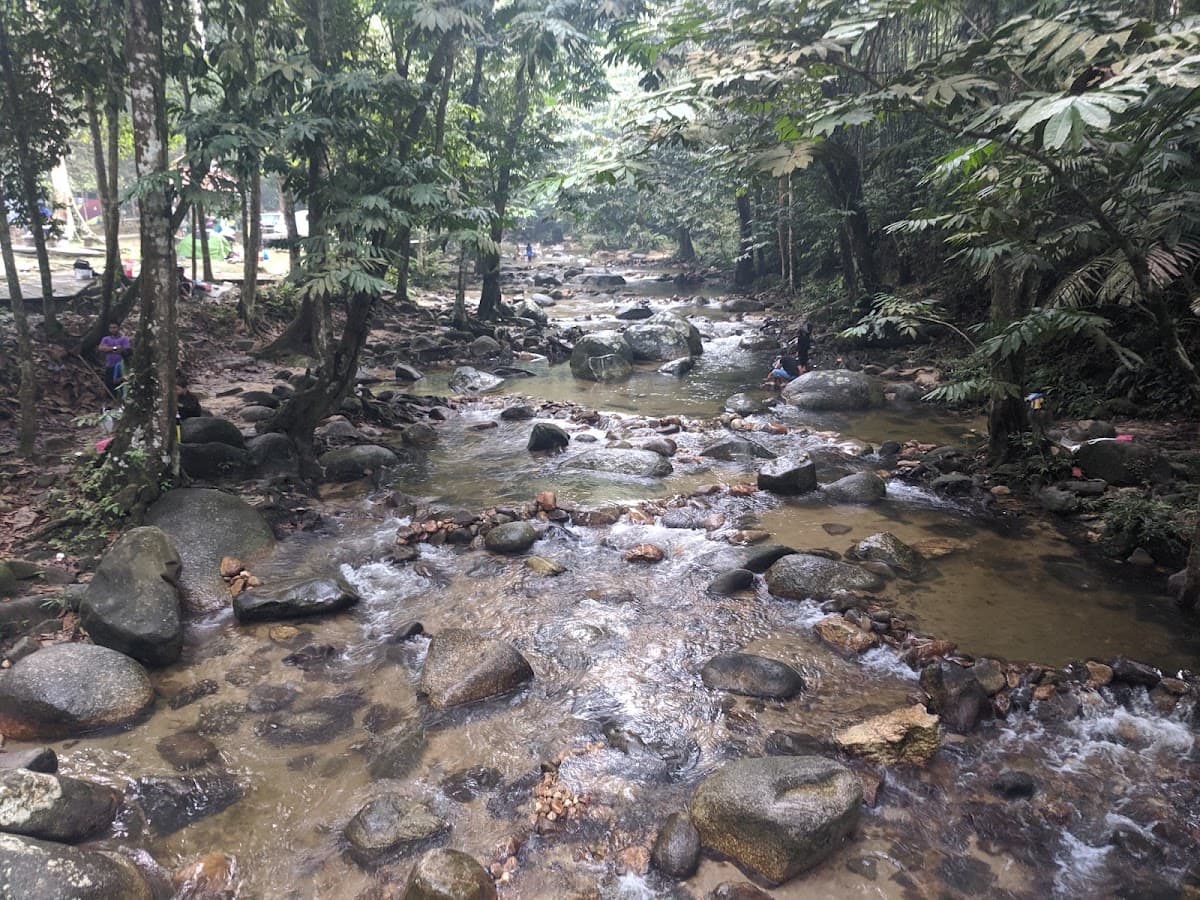 Taman Eko Rimba, Sungai Tua